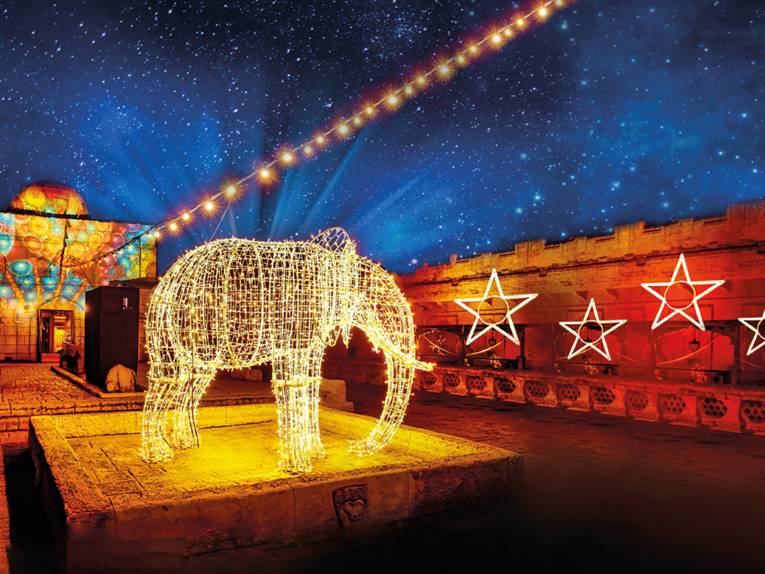 Ein Elefant aus einer Lichterkette steht im bunt beleuchteten Zoo.